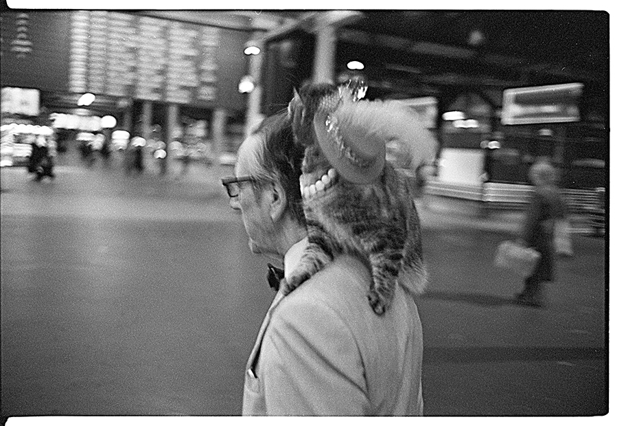 Man And Cat at the Station